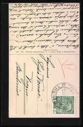 AK Hellrote Kirschen am Zweig