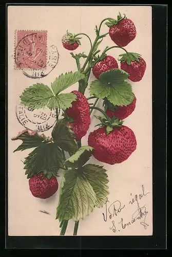 AK Erdbeeren am Zweig