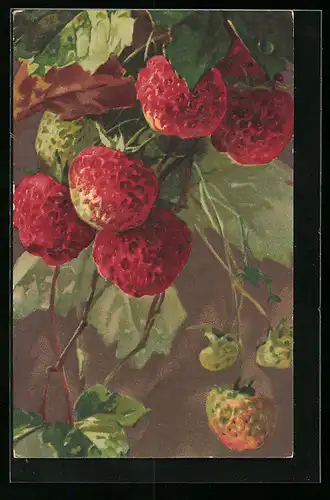 AK Hängende Erdbeeren