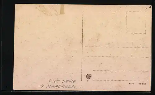 AK Maasholm, Blick auf Gut Oehe