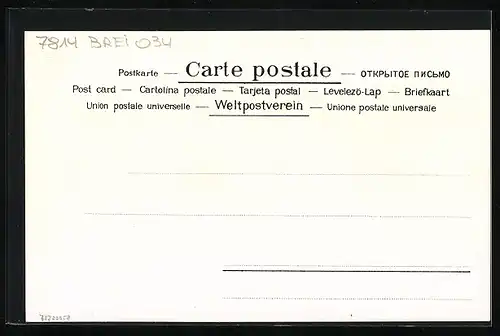 Lithographie Altbreisach a. Rh., Eisenbahnbrücke, Höhere Bürgerschule