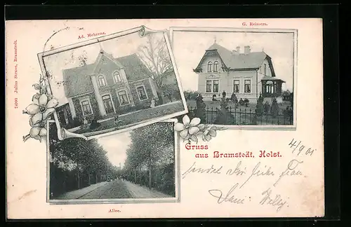 AK Bramstedt /Holst., Allee, Haus Ad. Mehrens, Haus G. Reimers