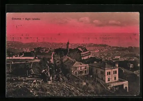 AK Genove, Righi Culmine, Panorama