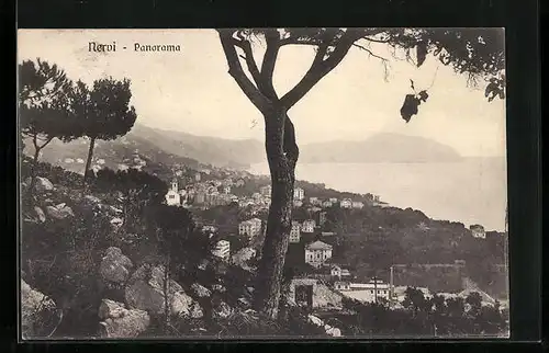 AK Nervi, Panorama