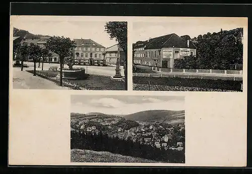 AK Bad Gottleuba, Hotel Kronprinz, Gesamtansicht