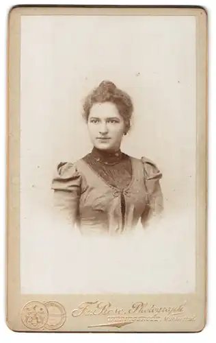 Fotografie Fr. Rose, Wernigerode, Portrait schönes Fräulein mit Dutt in prachtvoller Bluse