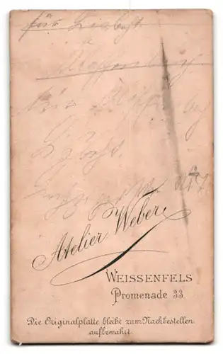 Fotografie Theodor Weber, Weissenfels a. S., Promenade 33, Portrait stattlicher Herr mit Schnurrbart im Jackett