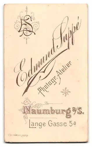Fotografie Edmund Suppé, Naumburg a. S., Lange Gasse 5a, Portrait charmanter junger Mann mit Krawatte im Jackett