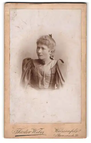 Fotografie Theodor Weber, Weissenfels a. S., Promenade 33, Portrait blondes Fräulein in prachtvoller Bluse