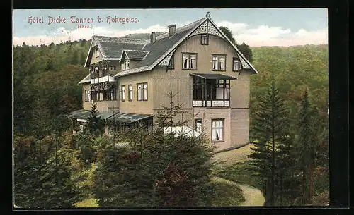 AK Hohegeiss / Harz, Hotel Dicke Tannen