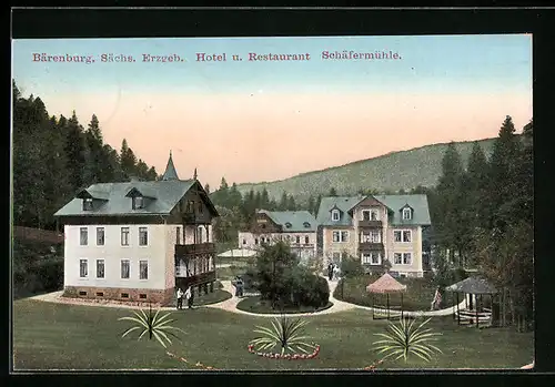 AK Bärenburg im Sächs. Erzgeb., Blick auf Hotel und Restaurant Schäfermühle