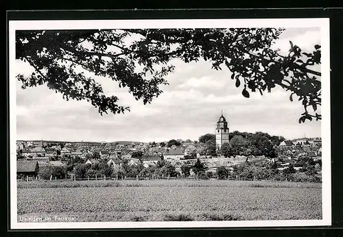 AK Usingen / Taunus, Totalansicht