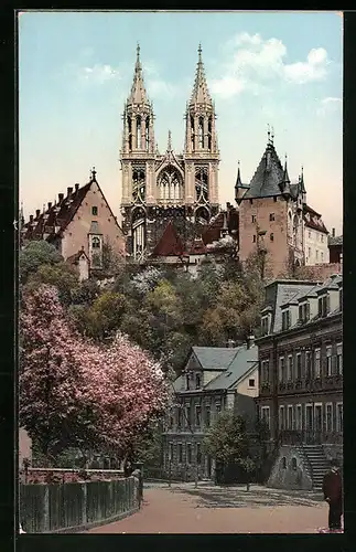 AK Meissen, Blick zur Albrechtsburg