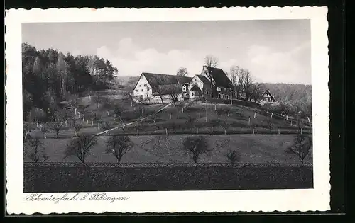 AK Schwärzloch b. Tübingen, Blick zum Hofgut