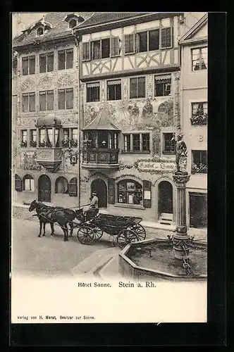 AK Stein a. Rhein, Pferdekutsche am Hotel Sonne
