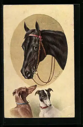 Künstler-AK Carl Reichert: Schwarzes Pferd und zwei Hunde