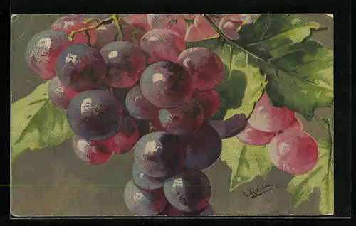 Künstler-AK Catharina Klein: Rote Trauben hängen an der Rebe