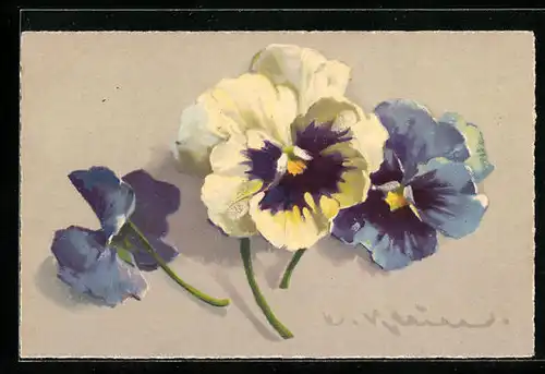 Künstler-AK Catharina Klein: Blaue und Weisse Blüte