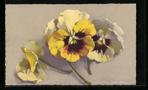 Künstler-AK Catharina Klein: Drei gelbe Blüten mit Stängel