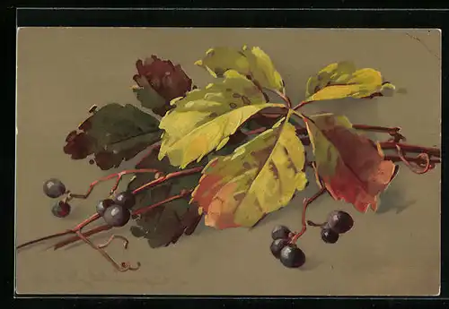 Künstler-AK Catharina Klein: Zweige mit Beeren und Blättern in herbstlichen Farben