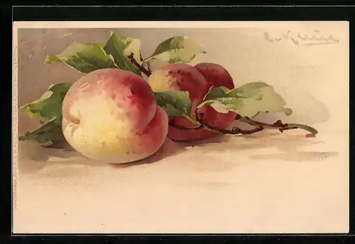 Künstler-AK Catharina Klein: Pfirsiche mit Zweigen und Blättern