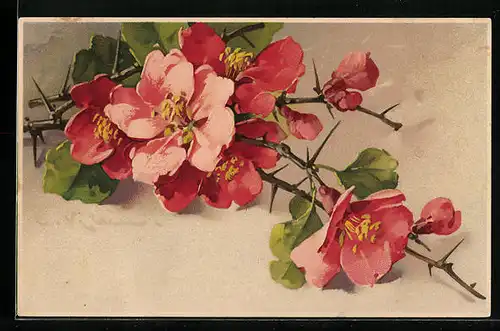 Künstler-AK Catharina Klein: Rote Blumen mit Zweigen und Dornen