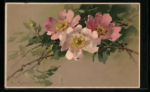 Künstler-AK Catharina Klein: Rosafarbene Blüten am Zweig