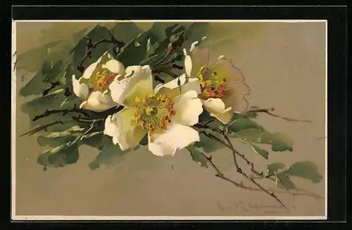 Künstler-AK Catharina Klein: Gelbe Blüten am Zweig