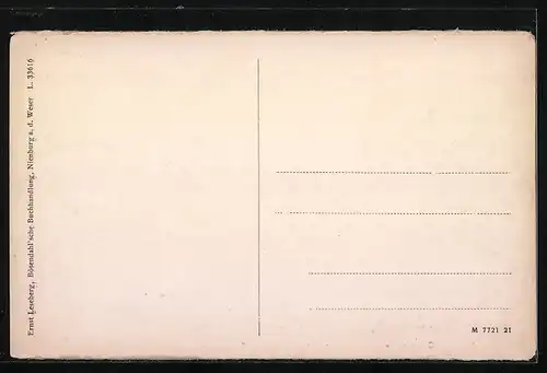 AK Nienburg a. d. Weser, Langestrasse mit dem Storchennest