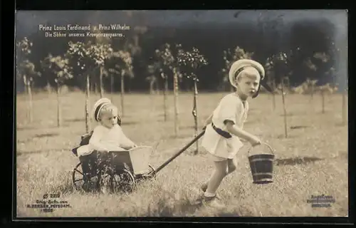 AK Prinz Louis Ferdinand und Prinz Wilhelm beim Spielen