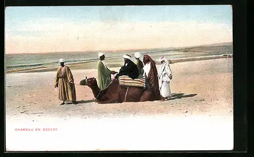 AK Beduinen mit einem Kamel bei der Rast in der Wüste