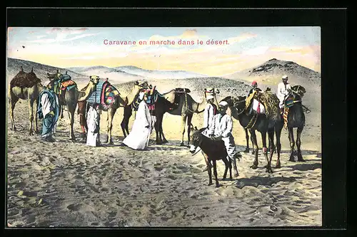AK Karawane mit Kamelen und Esel in der Wüste