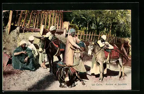 AK La Caire, Aniers et baudets
