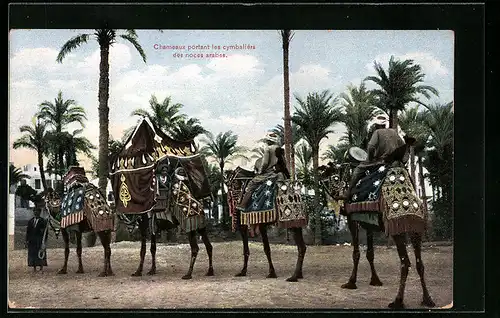 AK Chameaux portant les cymbaliérs des noces arabes