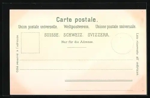 Lithographie Glarus, Ortsansicht mit Bergen