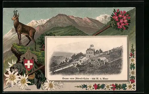 Präge-AK Hörnli-Kulm, Ortspartie mit Kühen