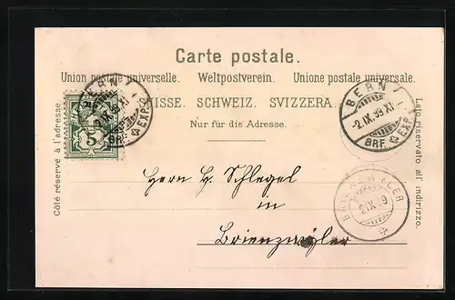 Lithographie Bern, Münster, Rathhaus, Dudelsackpfeiferbrunnen