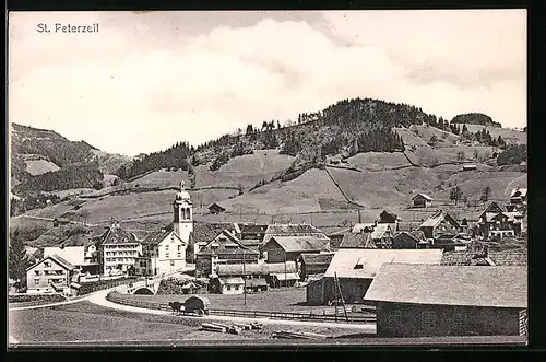 AK St. Peterzell, Ortsansicht mit Feldern