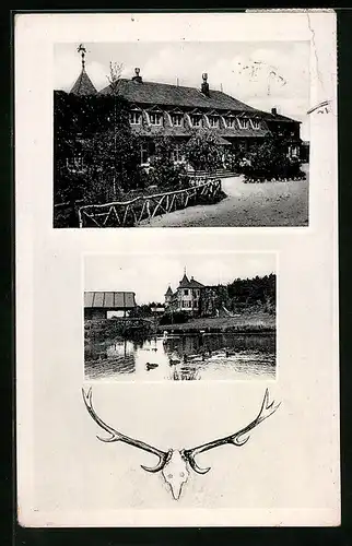 AK Mengerschied /Hunsrück, Jagdhof Soonruhe, Teich mit Enten