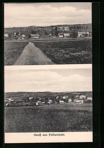 AK Falkenhain /Lossatal, Panorama, Strassenpartie vor Ort