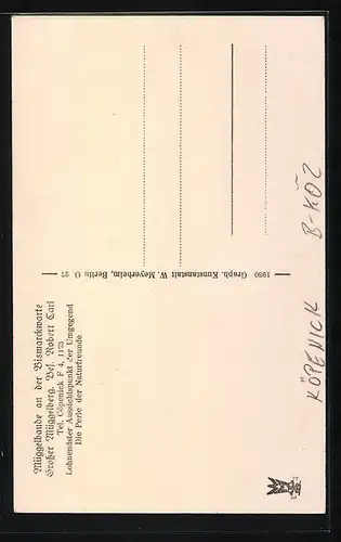 AK Berlin-Köpenick, Bismarckwarte in den Müggelbergen