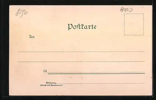 Lithographie Passau, Gesamtansicht mit Fluss