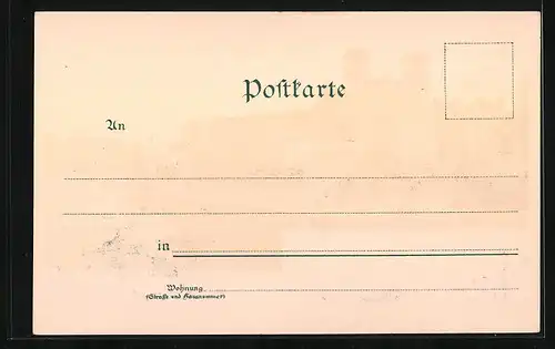 Lithographie Passau, Linkes Innufer mit Studienkirche