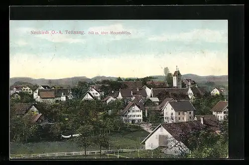 AK Neukirch bei Tettnang, Ortsansicht mit Bergkette