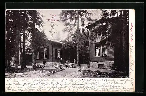 AK Elbingerode, Gasthof Waldhaus hinter Bäumen