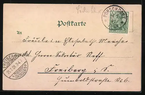 AK Hohnstein / Sächs. Schweiz, Schloss Hohnstein