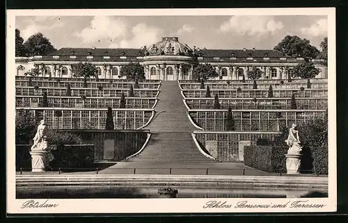 AK Potsdam, Schloss Sanssouci und Terrassen