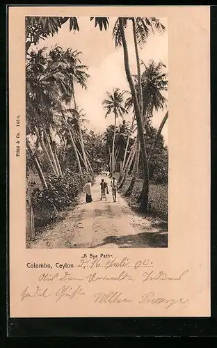 AK Colombo,  A Bye Path