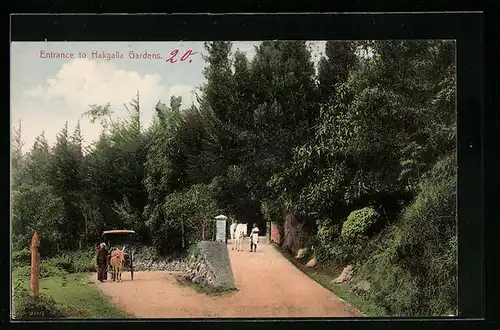 AK Nuwara Eliya, Hakgala Botanic Gardens, Entrance