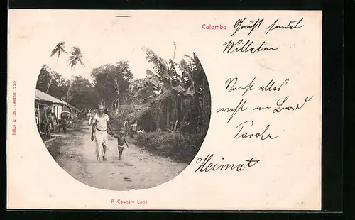 AK Colombo, A Country Lane